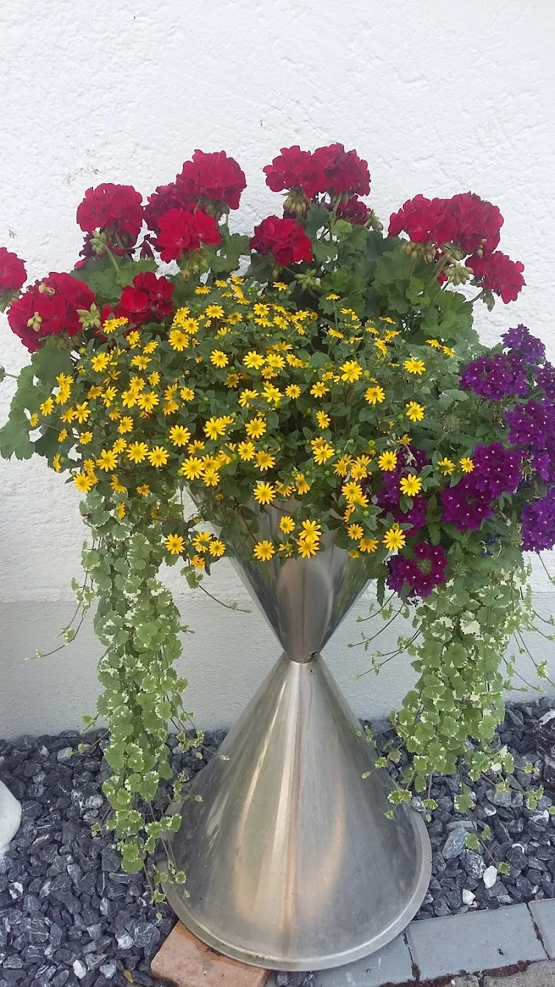 Nutztierpraxis Freiamt — Tierarzt, Muri, Aargau. Foto 3