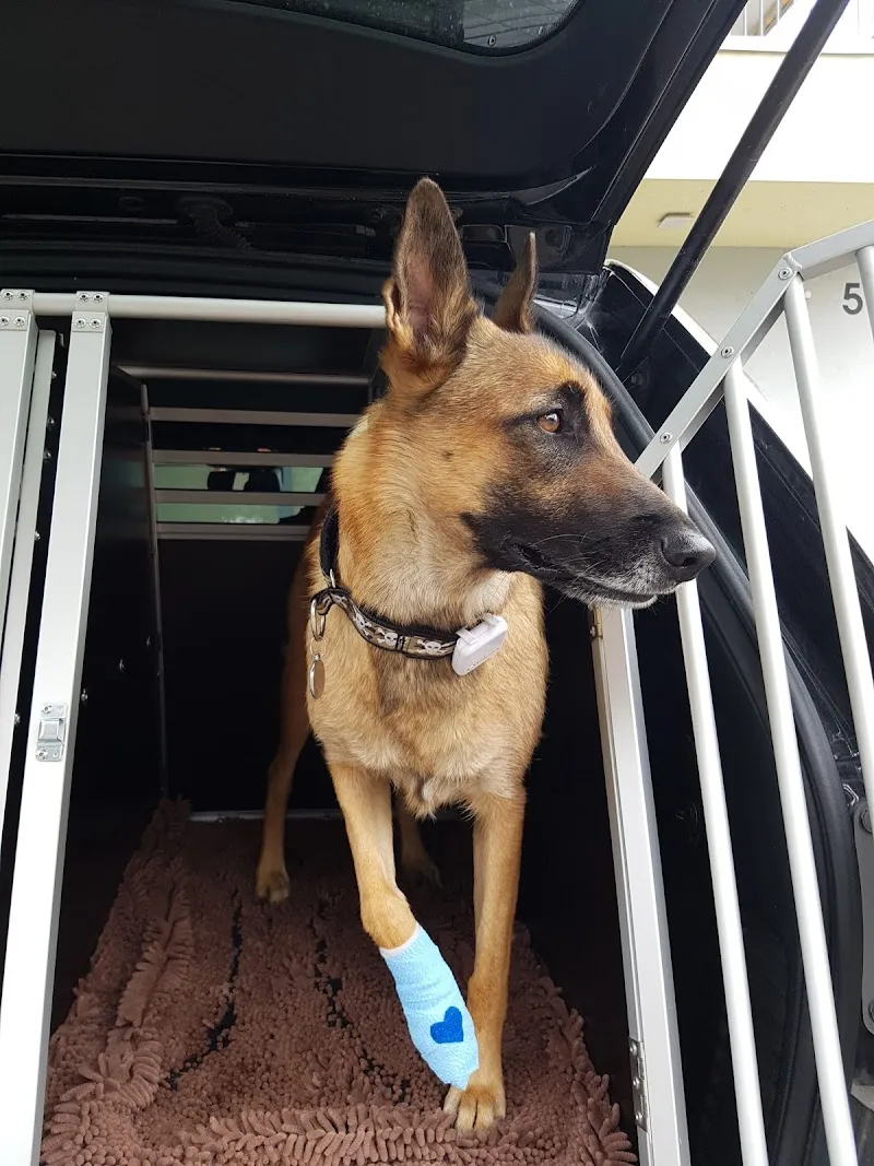 Praxis 4 Pfoten Dr. U. von Bodungen — Tierarzt in Port, Bern. Bewertung 4.8/5.