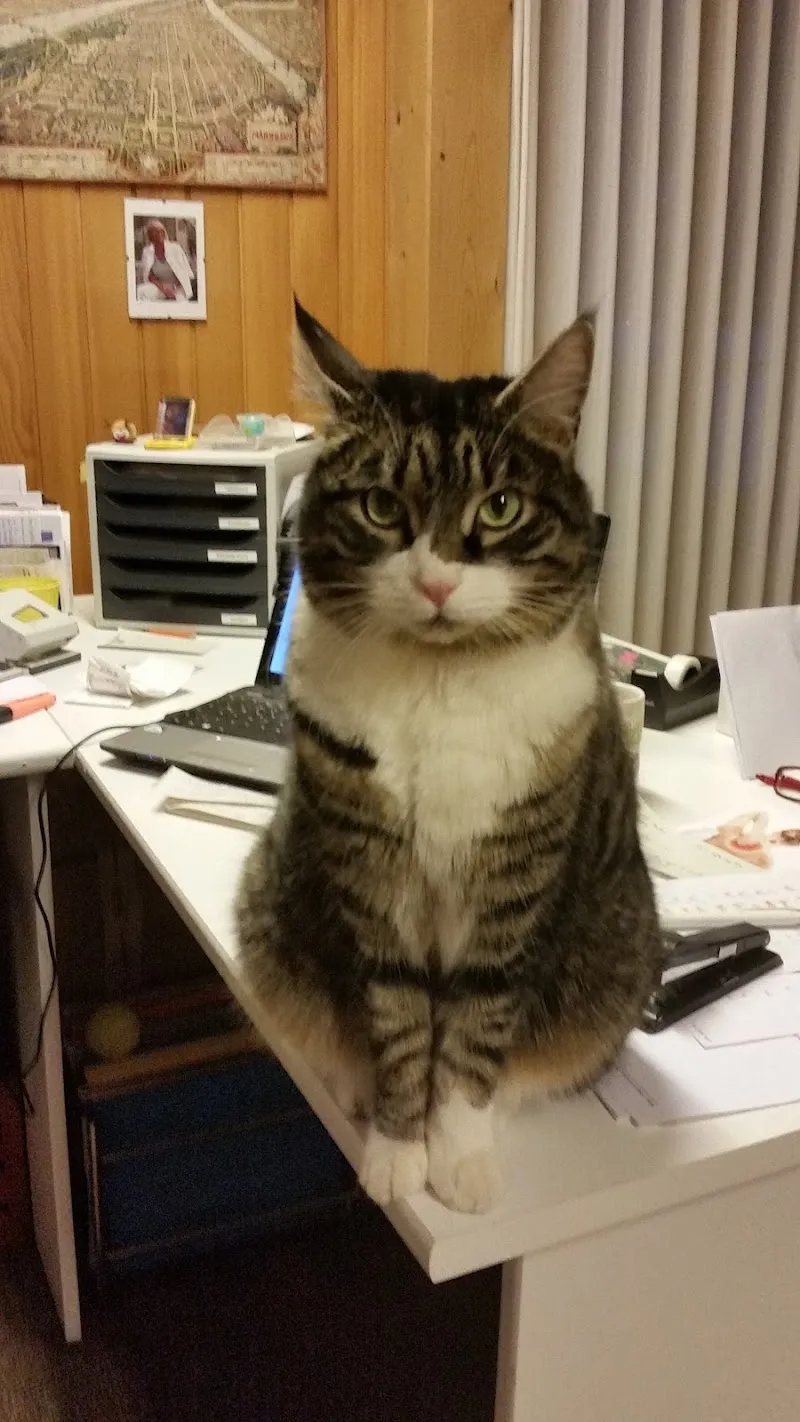 Simmevet AG — Tierarzt in Wimmis, Bern. Bewertung 4.7/5.