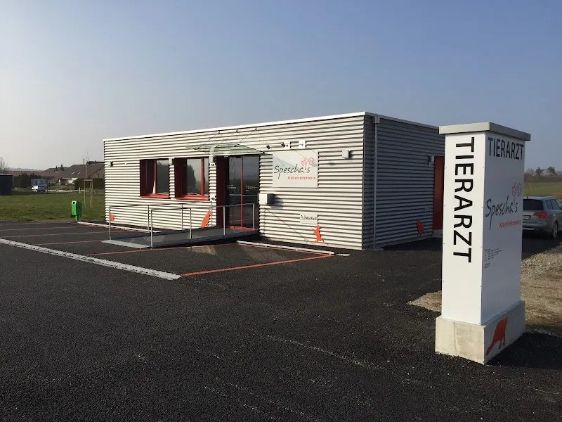 Spescha's Kleintierpraxis GmbH — Tierarzt in Schüpfen, Bern. Bewertung 4.8/5.