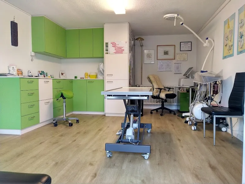 Spiegelwald Vets, Tierarztpraxis — Tierarzt in Spiegel BE, Bern. Bewertung 4.8/5.