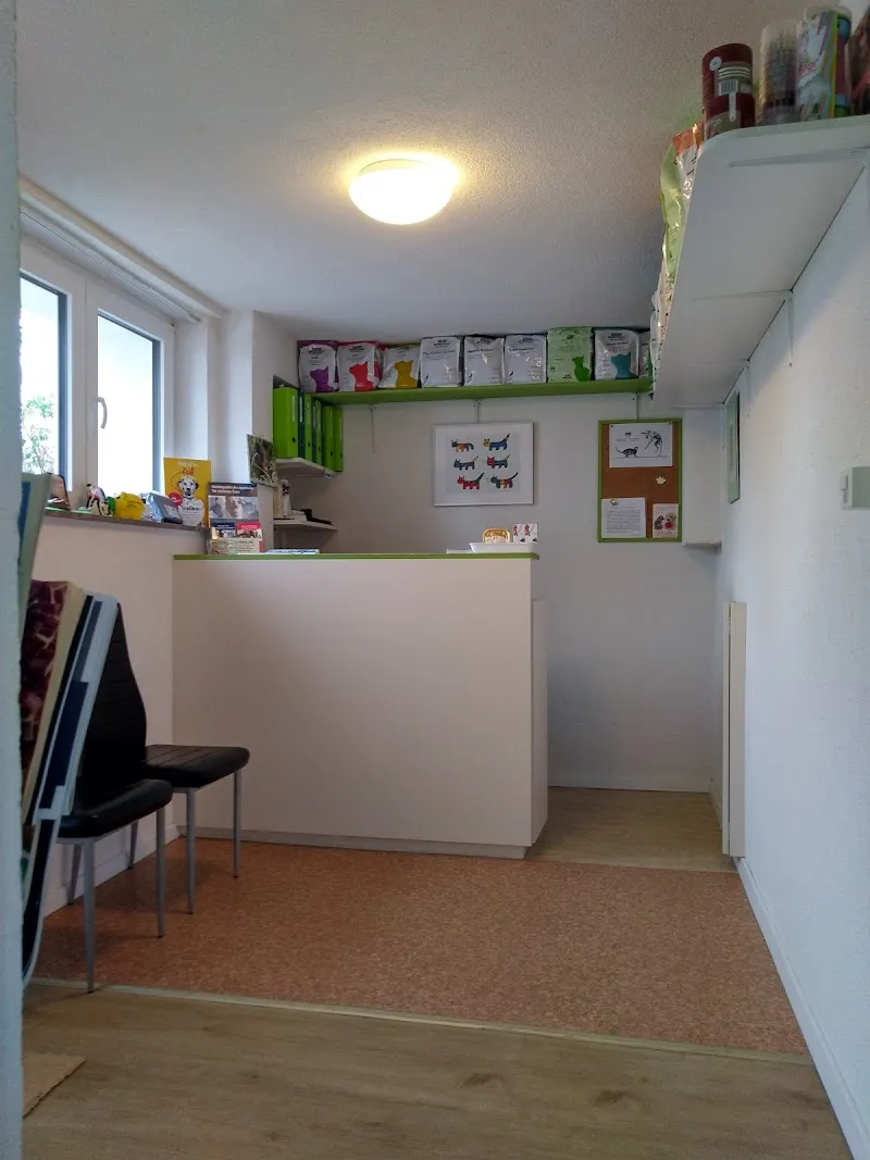 Spiegelwald Vets, Tierarztpraxis — Tierarzt, Spiegel BE, Bern. Foto 2