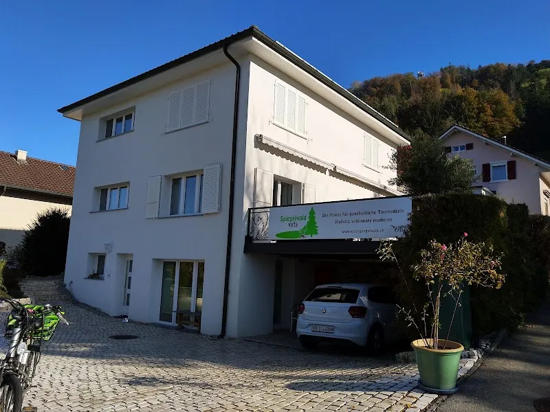 Spiegelwald Vets, Tierarztpraxis — Tierarzt, Spiegel BE, Bern. Foto 3