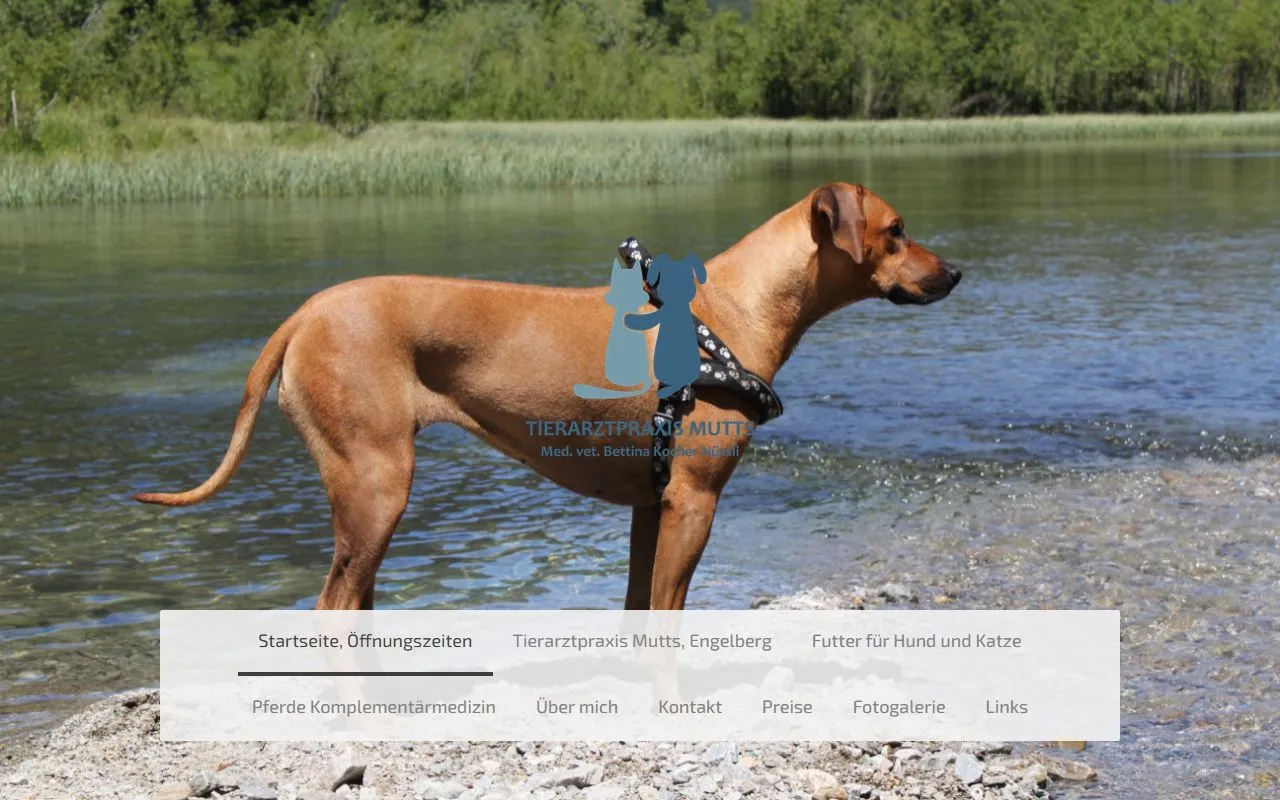 Tierarztpraxis Mutts — Tierarzt in Engelberg, Obwalden. Bewertung 4.8/5.