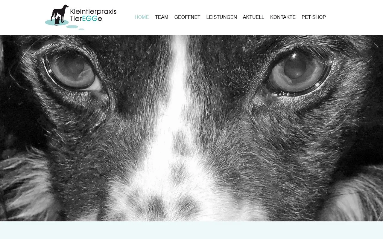 Kleintierpraxis TierEGGe — Tierarzt in Egg, Zürich. Bewertung 4.7/5.