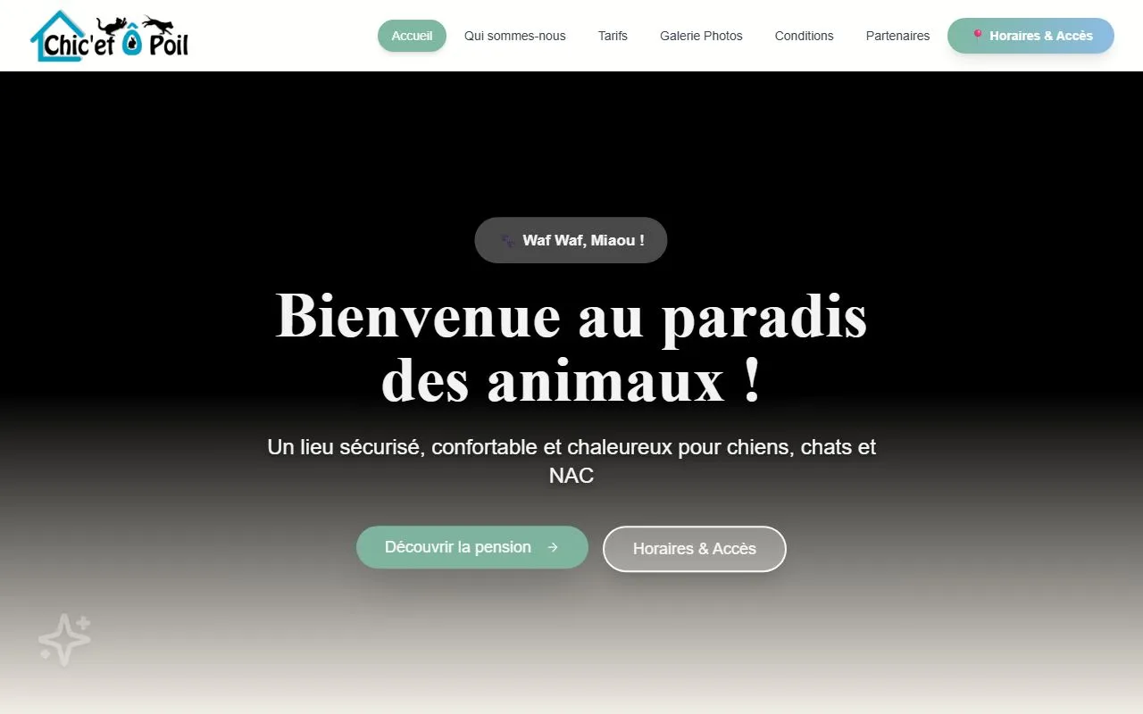 Chic’ et Ô Poil — Katzenpension in Le Pâquier, Neuenburg. Bewertung 5.0/5.