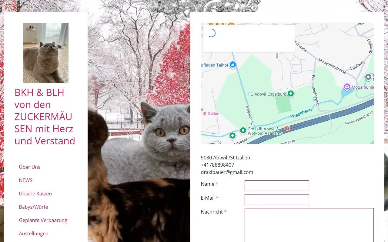 BKH & BLH Zucht ZUCKERMÄUSE mit Herz und Verstand — Katzenpension in Abtwil SG, St. Gallen. Bewertung 1.0/5.