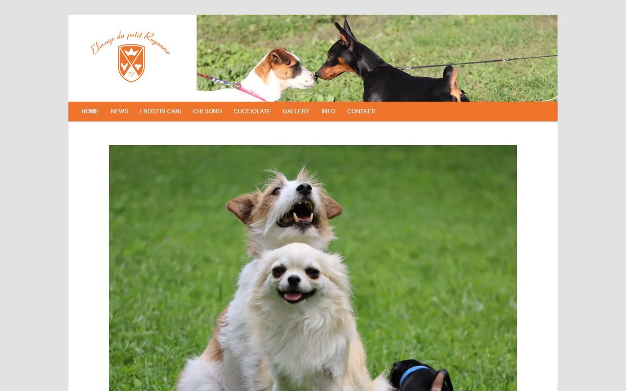 Pensione per cani e allevamento 'du petit Royaume' SKG/FCI — Katzenpension in Pedrinate, Tessin. Bewertung 4.3/5.