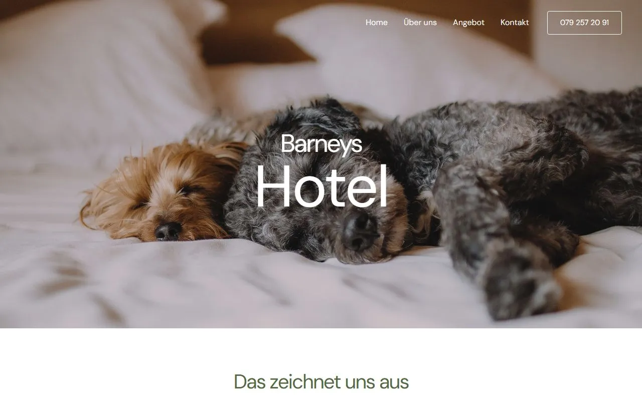 Barneys Hotel — Katzenpension in Rüti, Zürich. Bewertung 5.0/5.