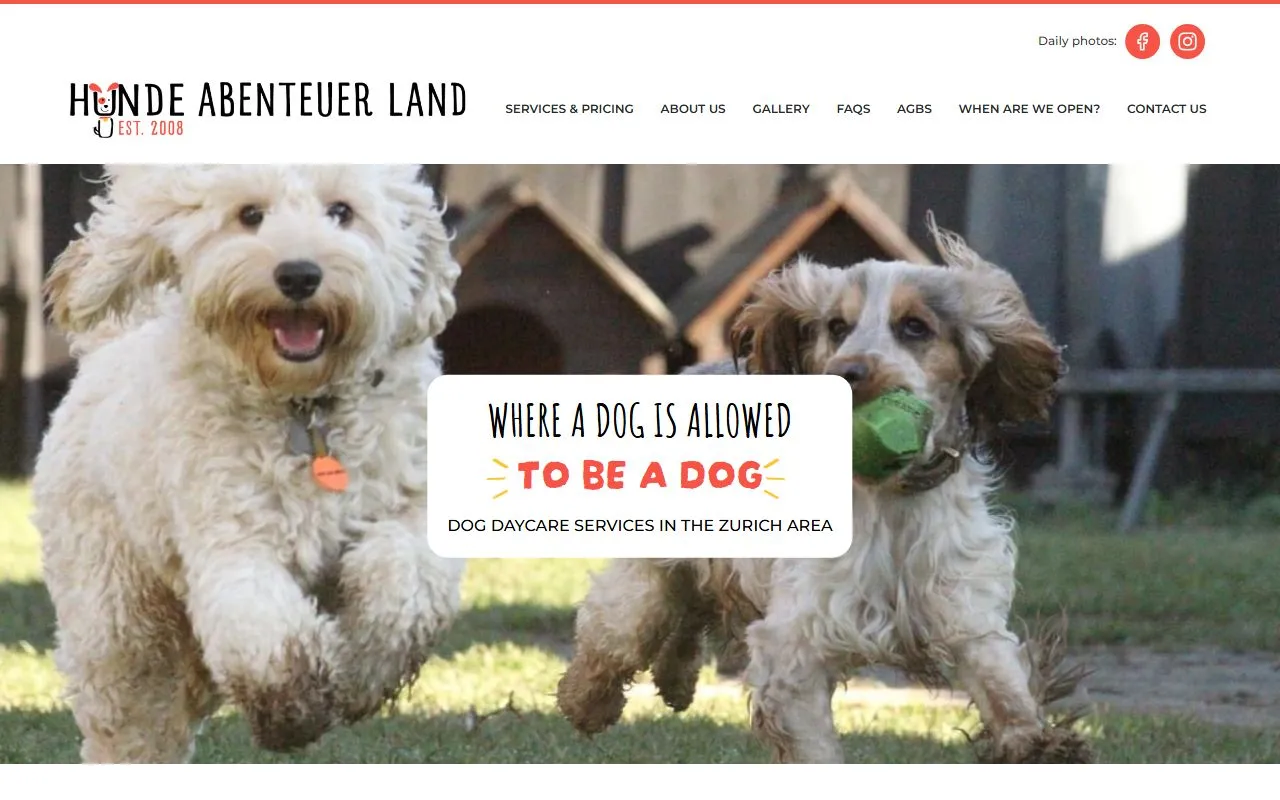 Hunde Abenteuer Land — Katzenpension in Bülach, Zürich. 