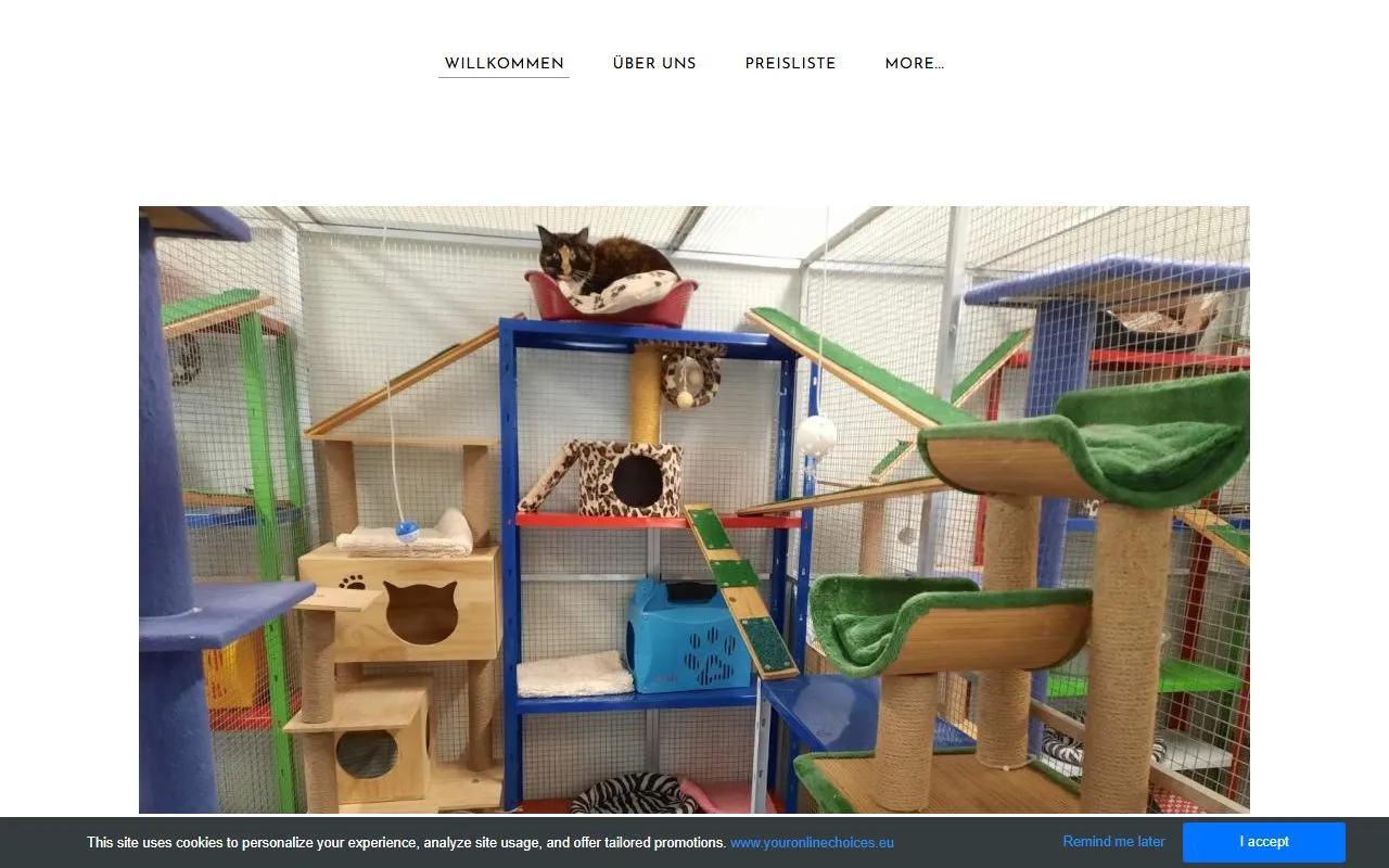 Katzenpension Kloten heisst neu katzenwohl.ch — Katzenpension in Embrach, Zürich. Bewertung 5.0/5.