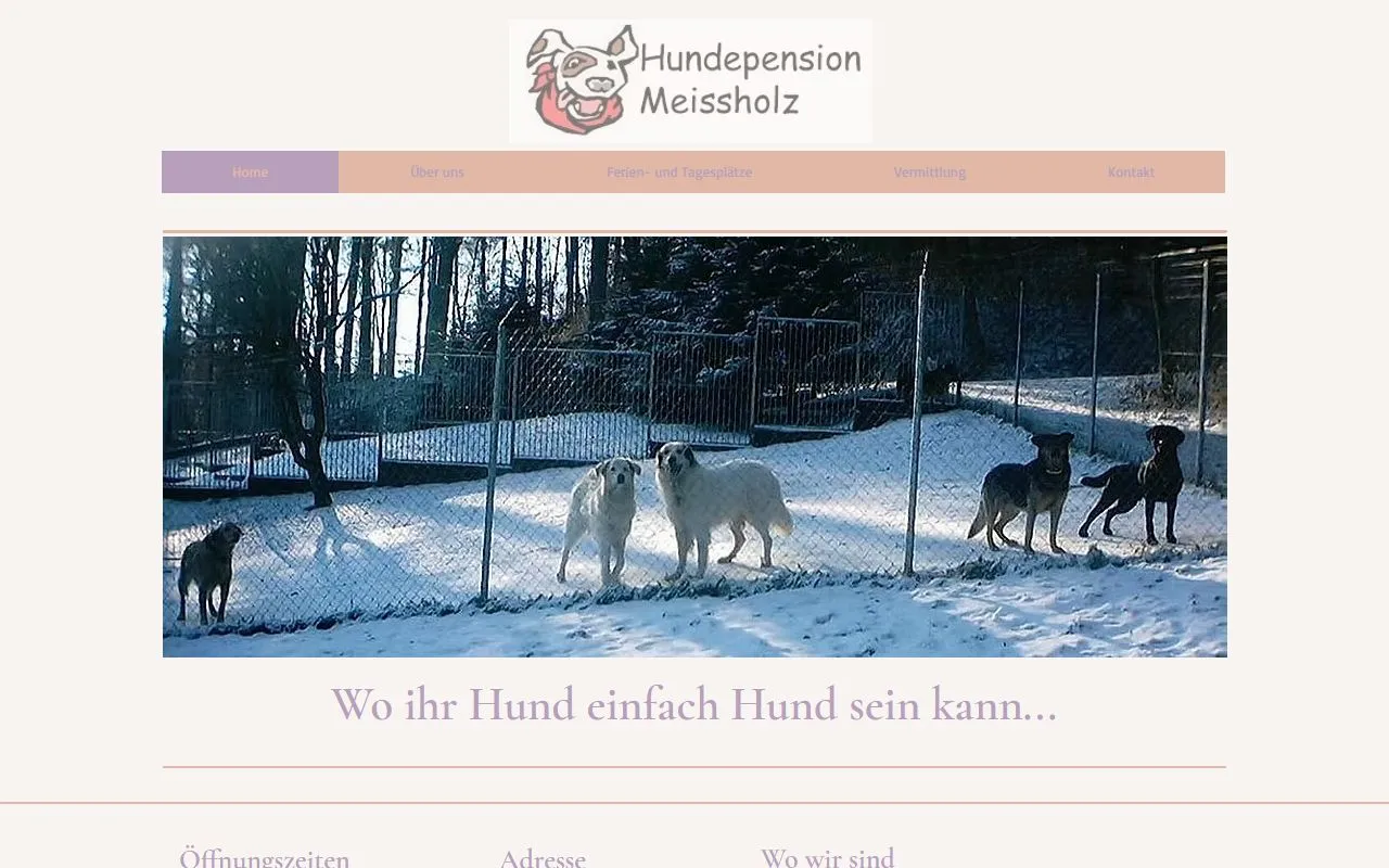 Hundepension Meissholz — Katzenpension in Kemptthal, Zürich. 