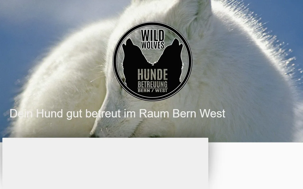 Wild Wolves Hundespazierdienst — Katzenpension in Niederscherli, Bern. 