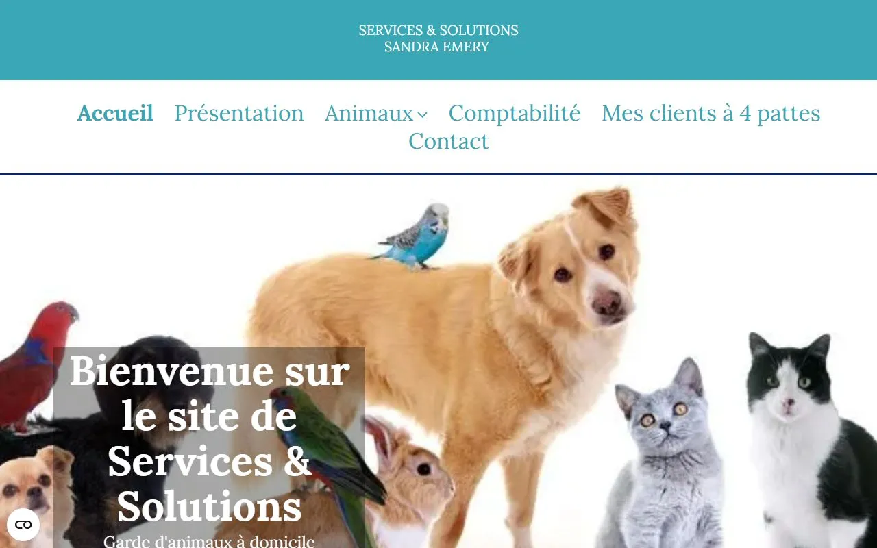 Services & Solutions — Katzenpension in Plan-les-Ouates, Genf. Bewertung 4.7/5.