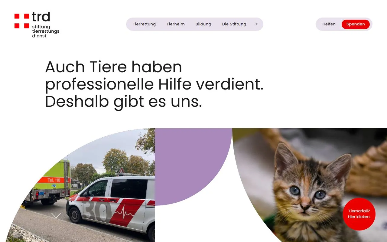 Stiftung Tierrettungsdienst — Katzenpension in Winkel, Zürich. 