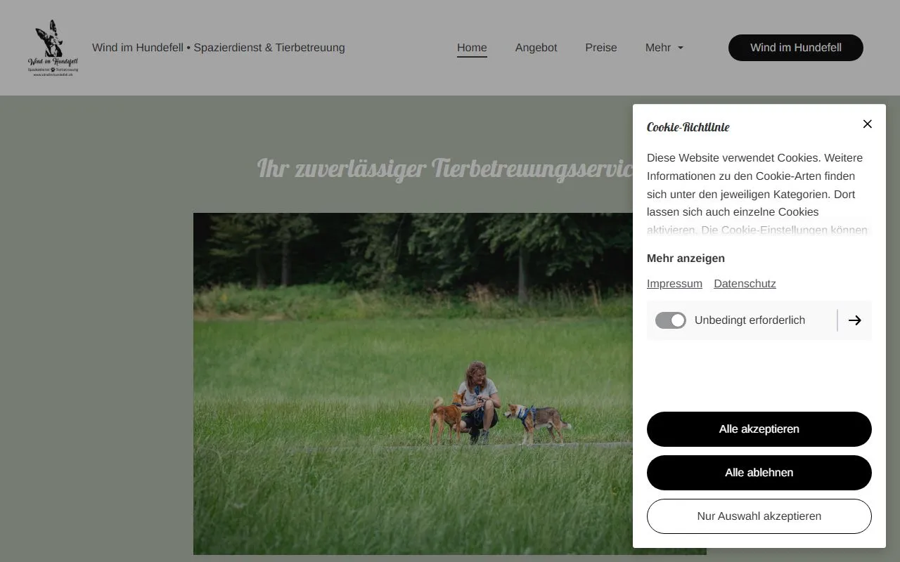 Wind im Hundefell — Katzenpension in Wila, Zürich. 