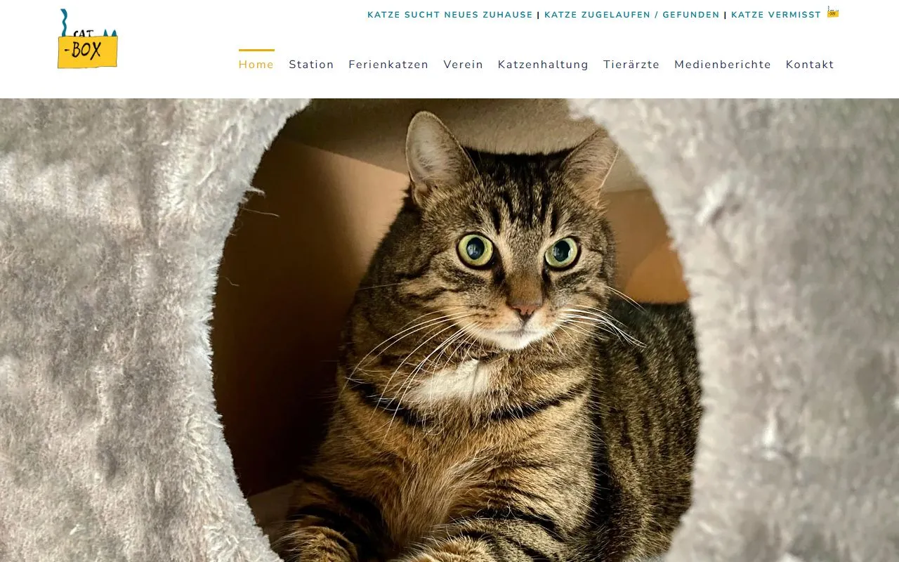 Katzenaufnahmestation Cat-Box — Katzenpension in Gams, St. Gallen. Bewertung 4.2/5.