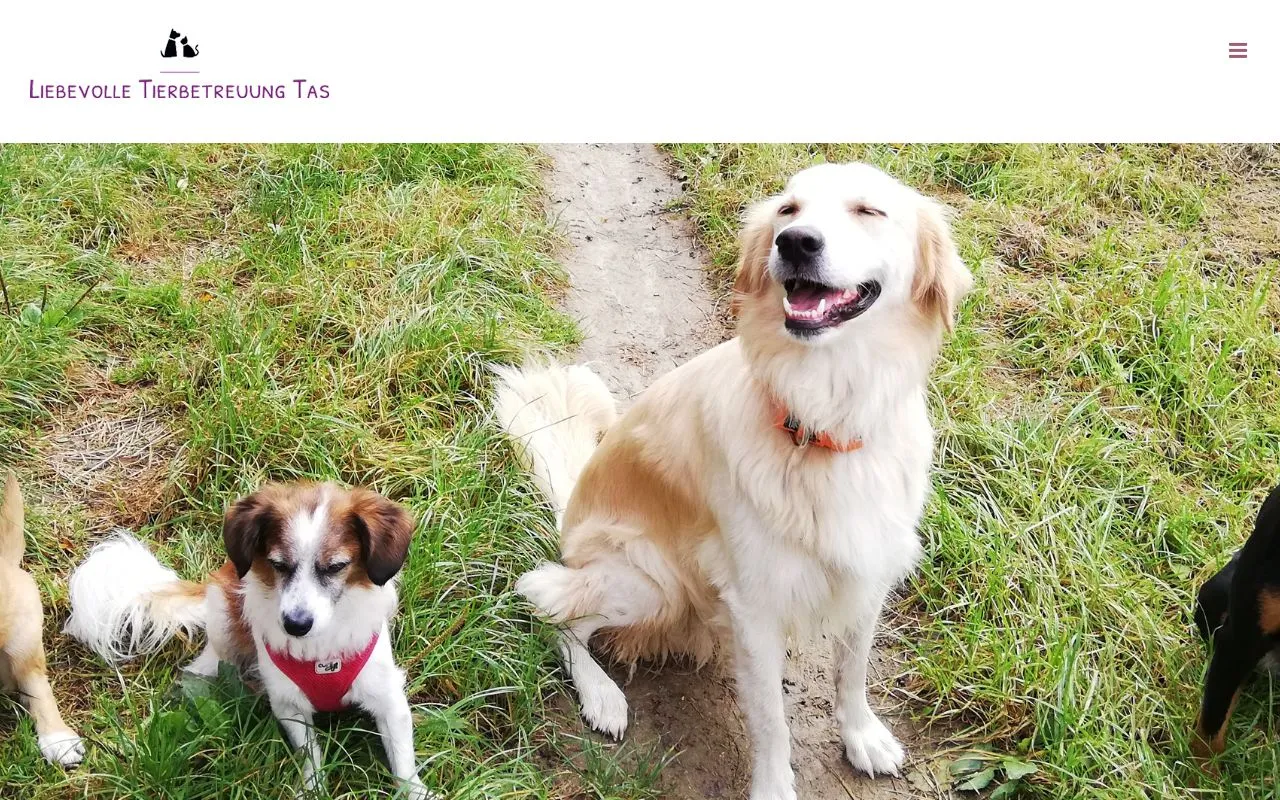 Liebevolle Tierbetreuung Tas — Katzenpension in Münchenstein, Basel-Landschaft. Bewertung 5.0/5.