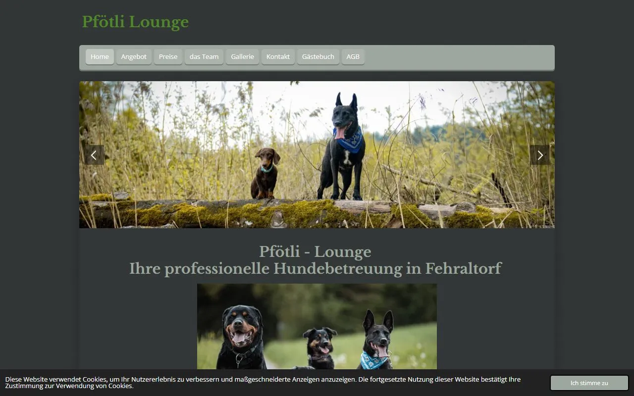 Pfötli Lounge — Katzenpension in Fehraltorf, Zürich. 