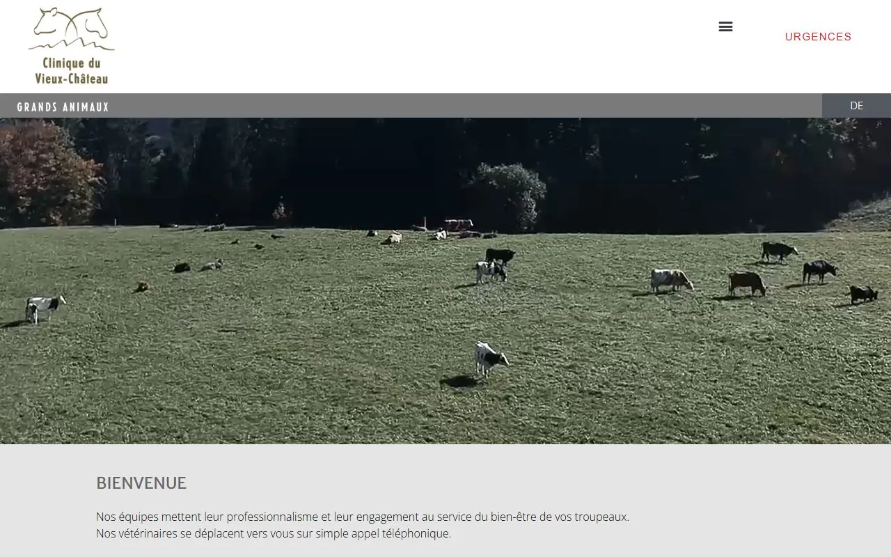 Clinique Vétérinaire du Vieux-Château Grands Animaux Sàrl (Grosstiere — Tierarzt in Breitenbach, Solothurn. 