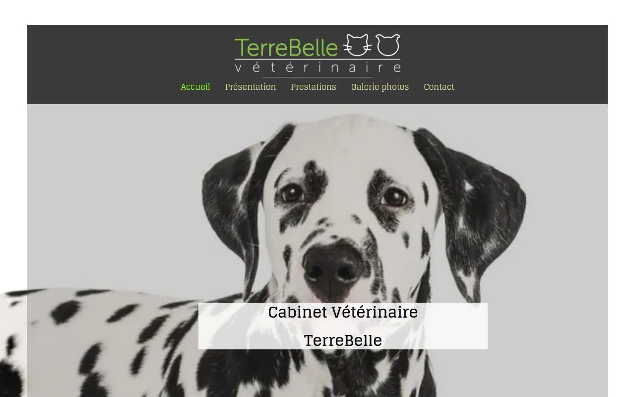 Cabinet Vétérinaire de TerreBelle — Tierarzt in Montagny-la-Ville, Freiburg. Bewertung 4.7/5.