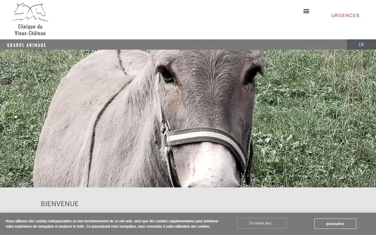 Clinique Vétérinaire du Vieux-Château Grands Animaux Sàrl — Tierarzt in St. Immer, Bern. Bewertung 4.7/5.