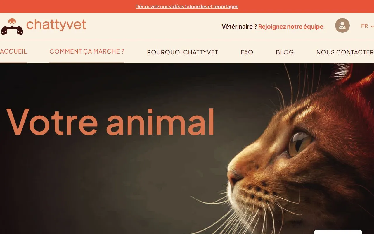 Chattyvet Sarl — Tierarzt in St-Pierre-de-Clages, Wallis. 