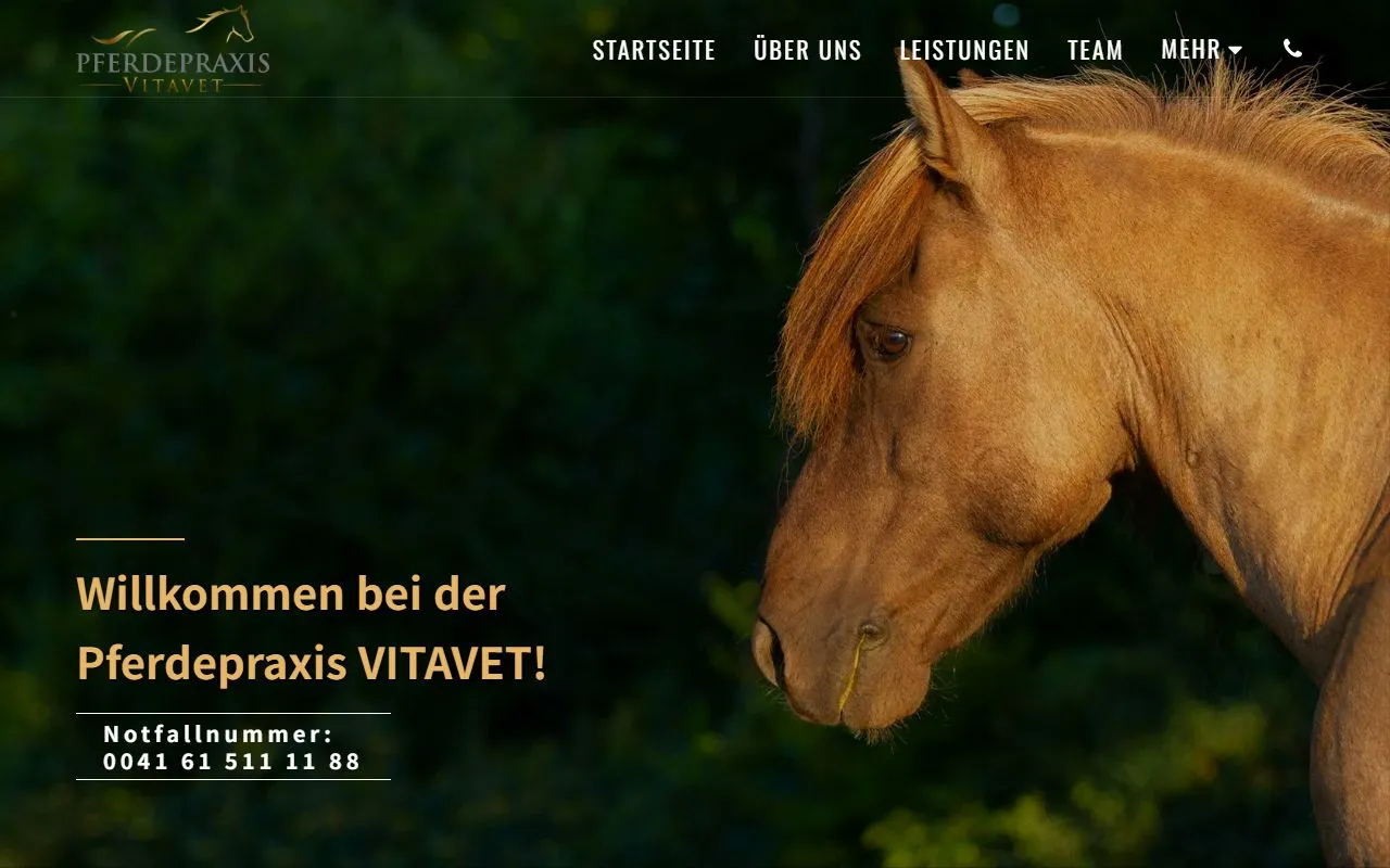 Pferdepraxis Vitavet Gmbh — Tierarzt in Fehren, Solothurn. 