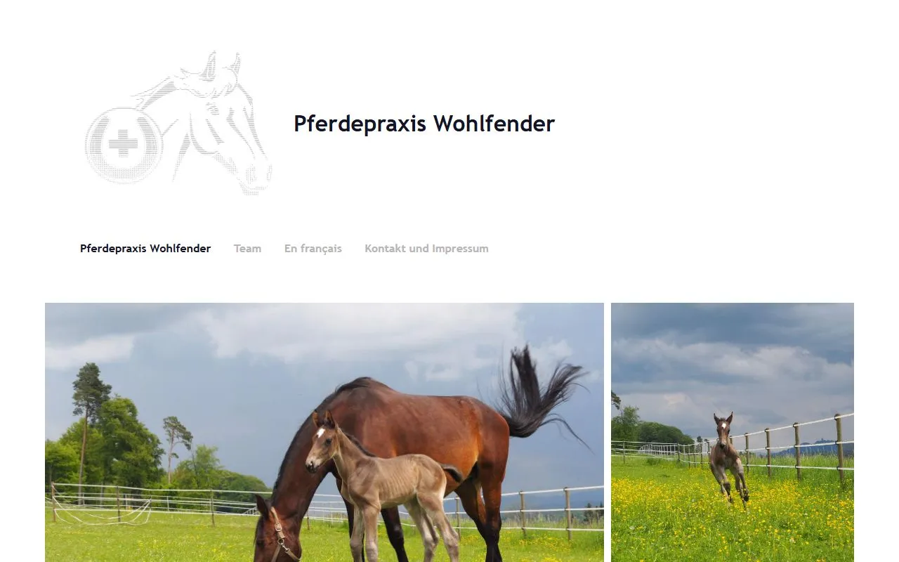 Pferdepraxis Wohlfender Remy — Tierarzt in Gümmenen, Bern. 