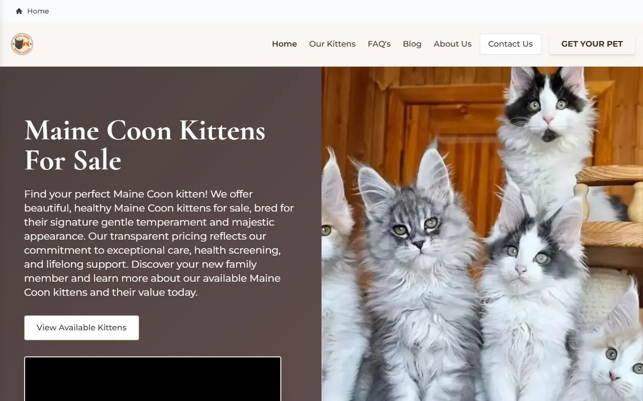 Pine Loge kitten Cattery — Katzenpension in Kilchberg, Zürich. 