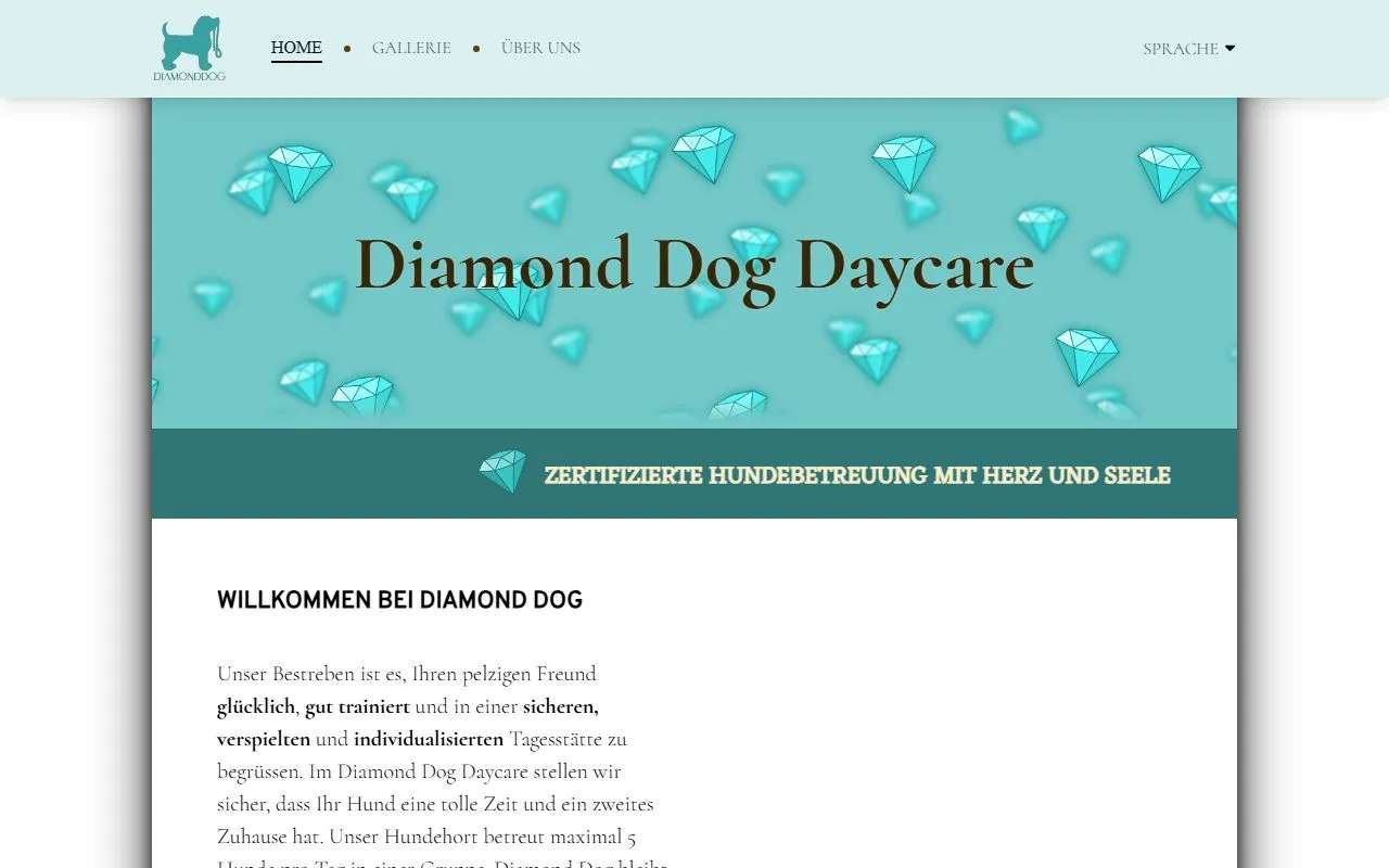 Diamond Dog Daycare Hundebetreuung Thalwil — Zoofachhandel in Thalwil, Zürich. 