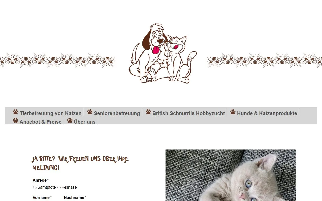 Tierbetreuung & Homeclean Service — Katzenpension in Rüti, Zürich. 