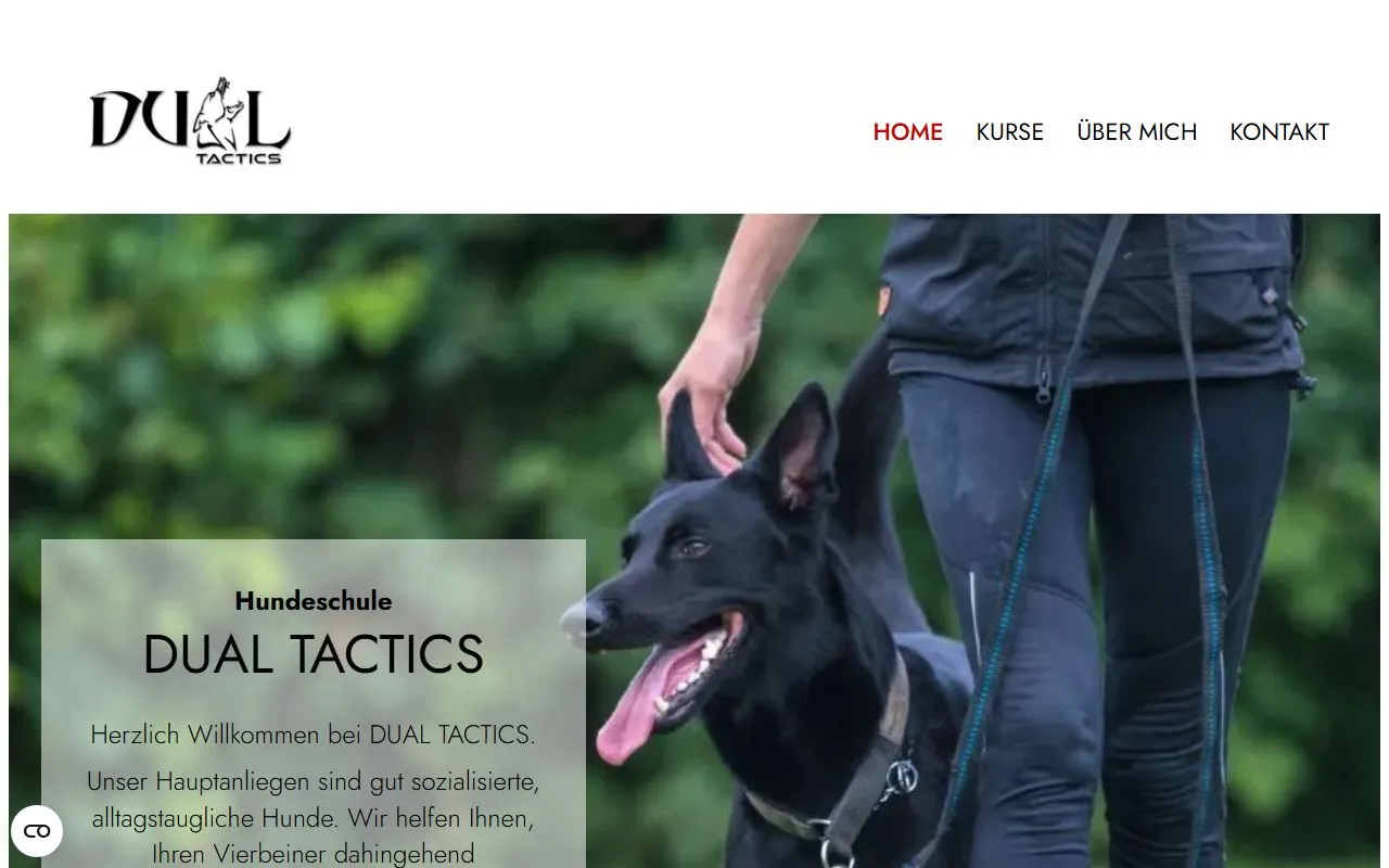 Amsaleni GmbH/Dualtactics — Katzenpension in Eschlikon, Thurgau. 