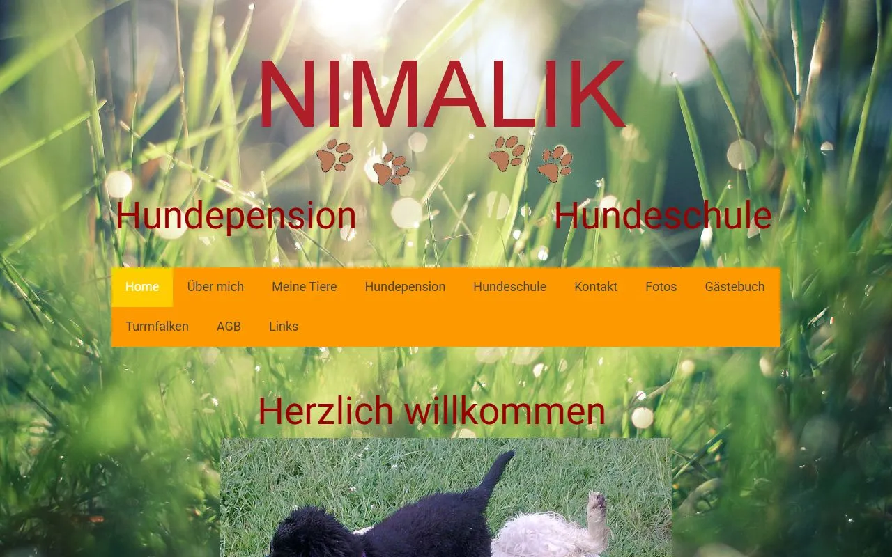 Nimalik Hundeschule & Hundepension — Katzenpension in Kallnach, Bern. 