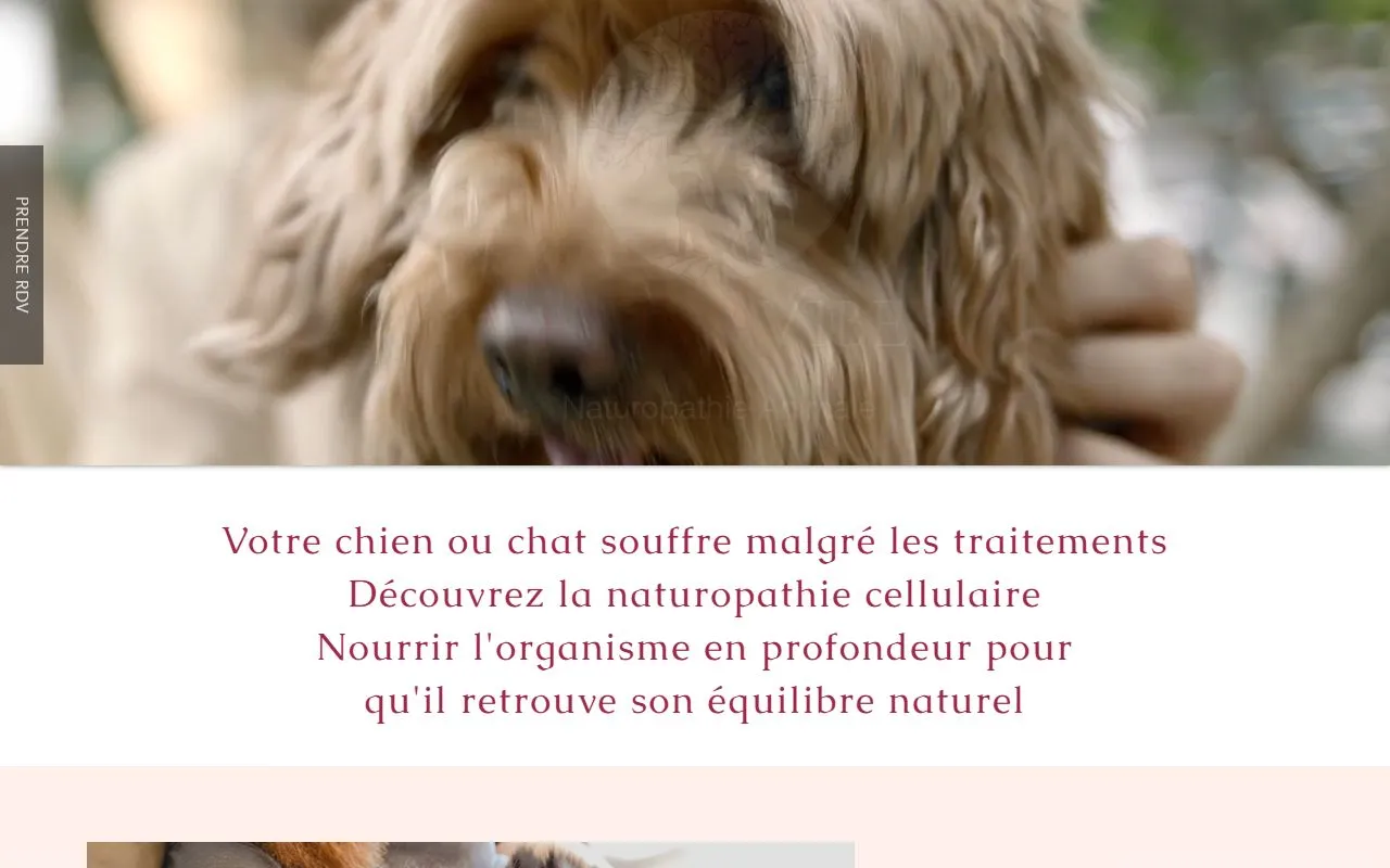 Animavibe Naturopathie Animale — Zoofachhandel in Mézières, Waadt. 