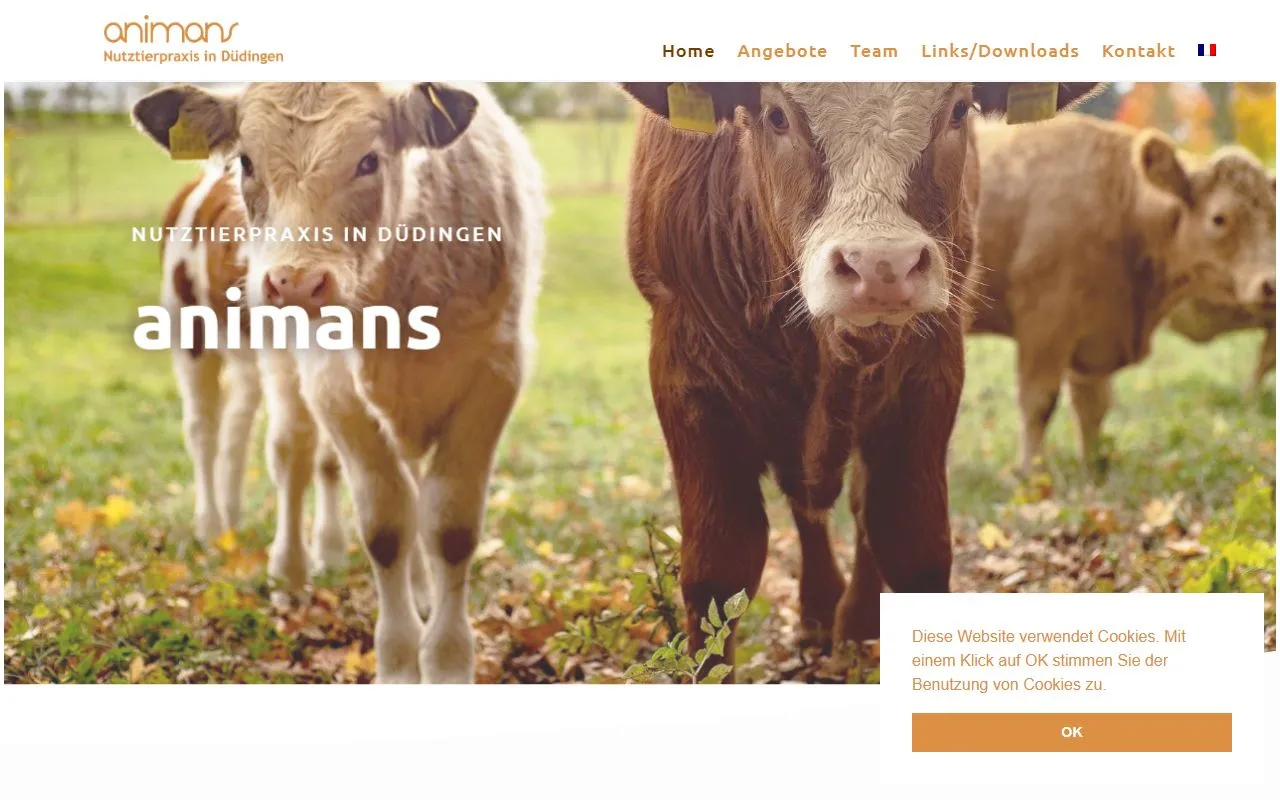 Nutztierpraxis Animans — Tierarzt in Düdingen, Freiburg. 