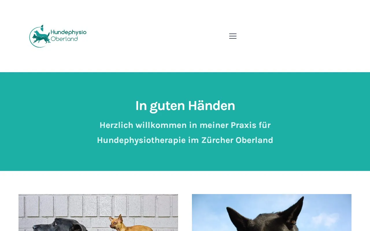 Hundephysio Oberland — Zoofachhandel in Bauma, Zürich. Bewertung 5.0/5.