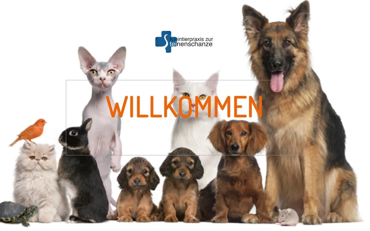 Dr. med. vet. Kleintierpraxis zur Steinenschanze — Tierarzt in Basel, Basel-Stadt. 
