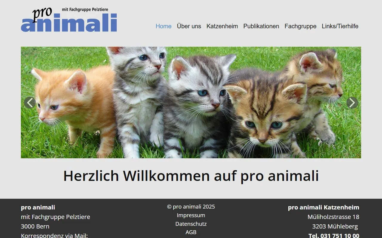 Pro Animali — Katzenpension in Mühleberg, Bern. 